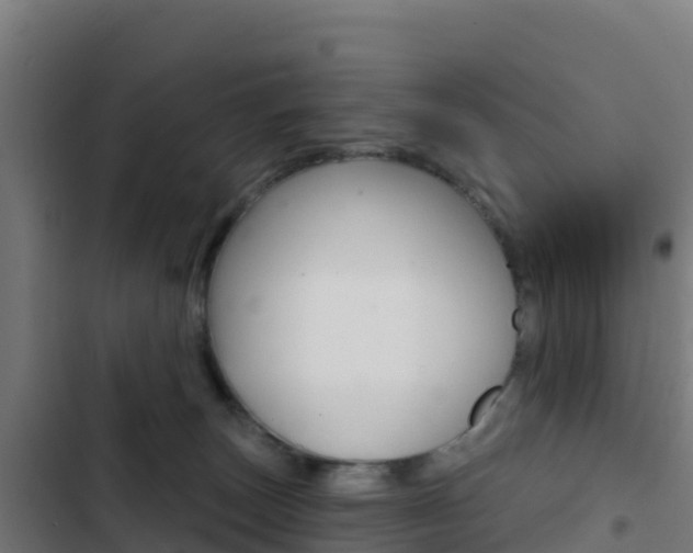 X0000103440179200809121110