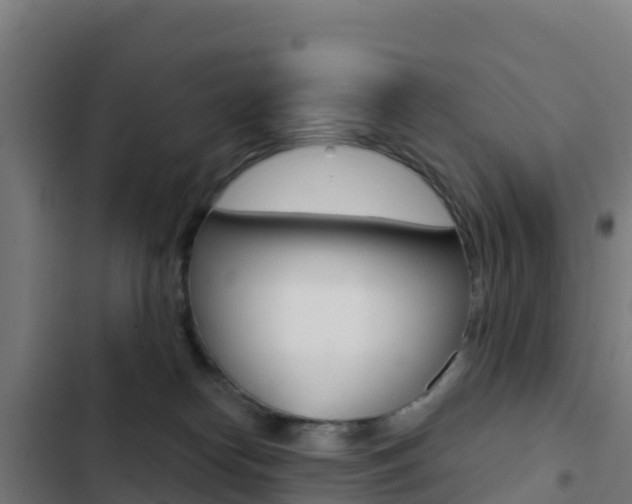 X0000103440182200809121110