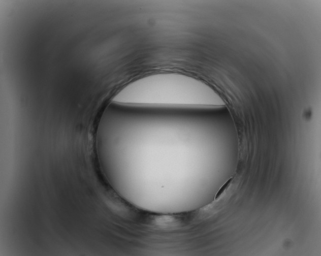 X0000103440183200809121110