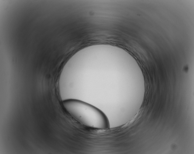 X0000103440184200809121110