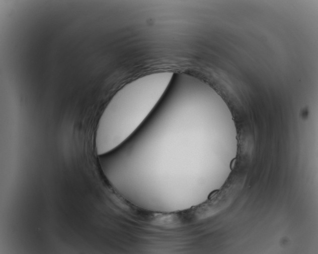 X0000103440185200809121110