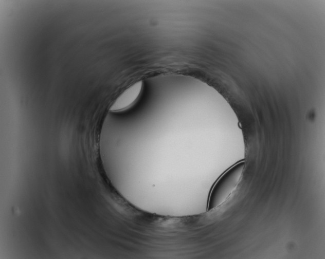 X0000103440186200809121110