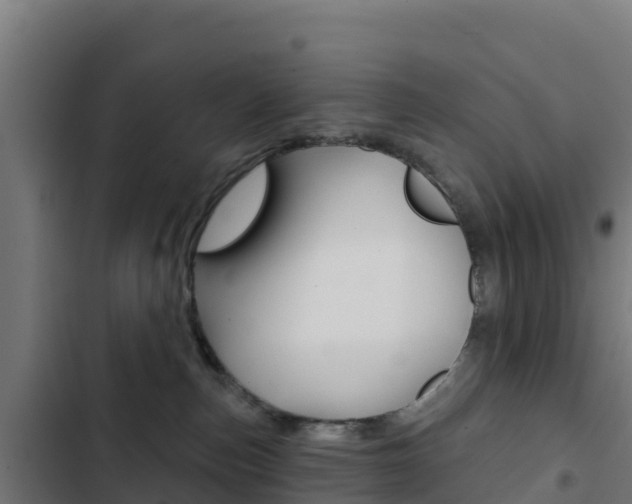 X0000103440187200809121110