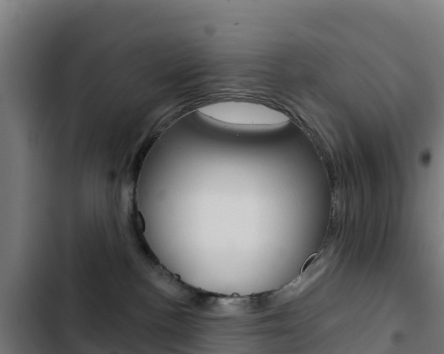 X0000103440188200809121110