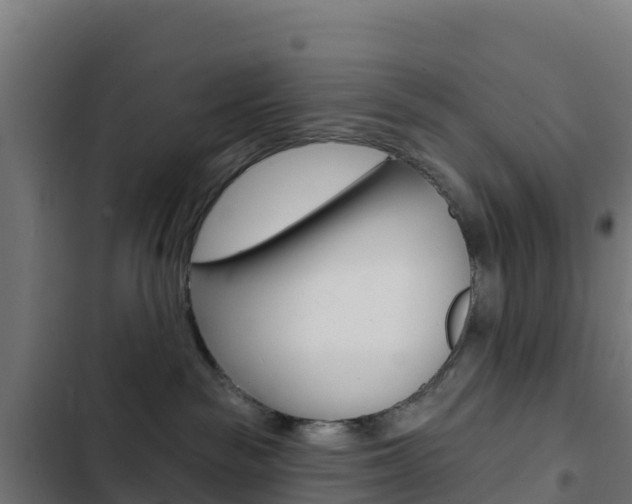 X0000103440189200809121110