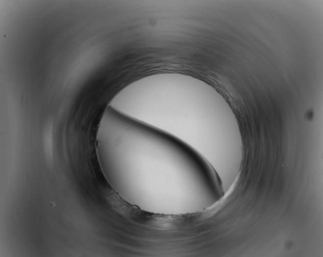 X0000103440190200809121110