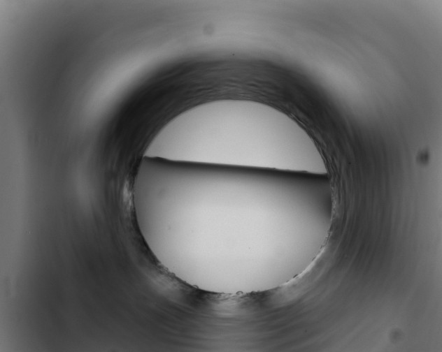 X0000103440191200809121110