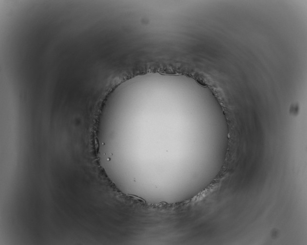 X0000103440192200809121110
