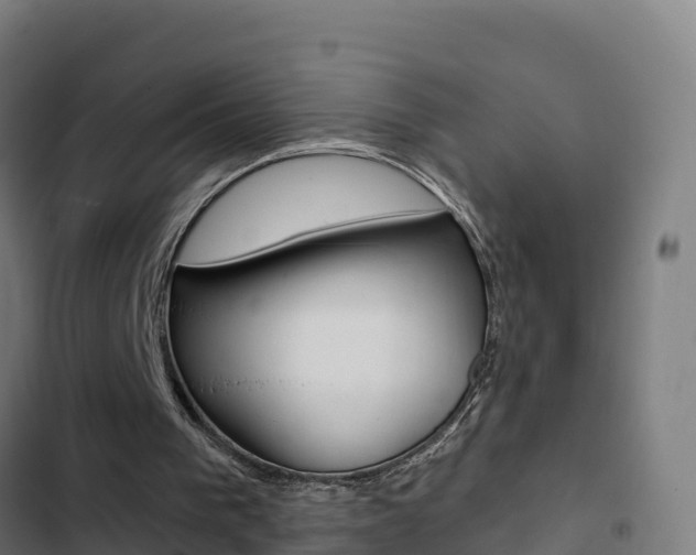 X0000103440193200809121110