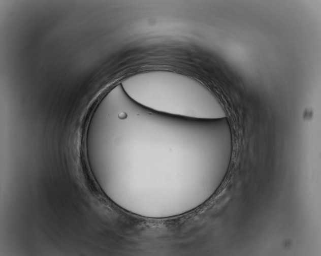 X0000103440194200809121110