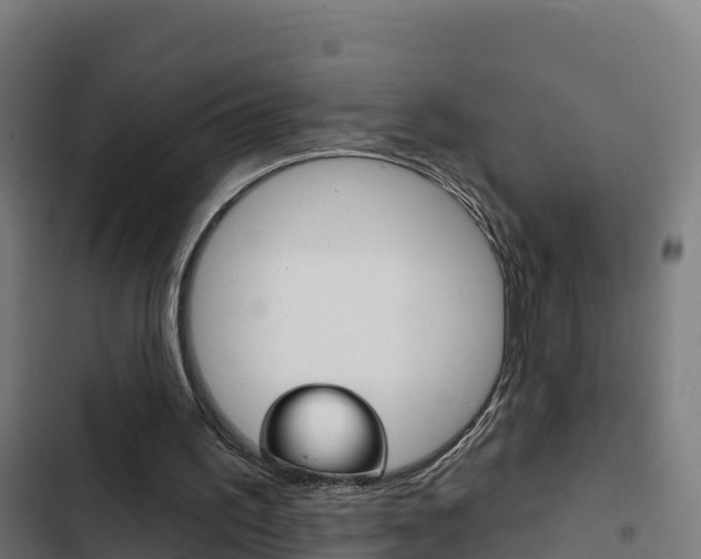 X0000103440195200809121110