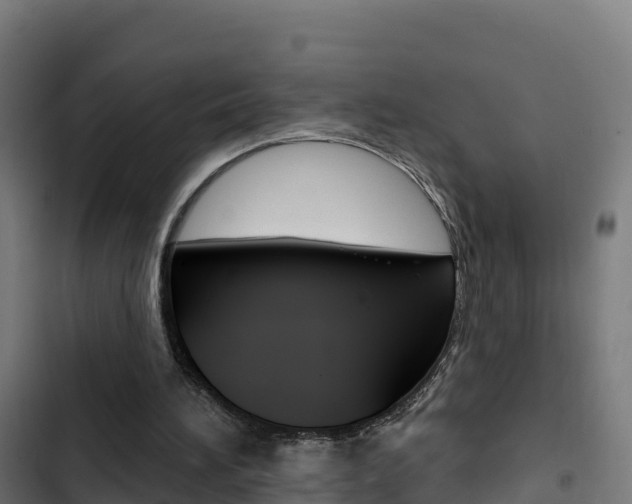 X0000103440196200809121110