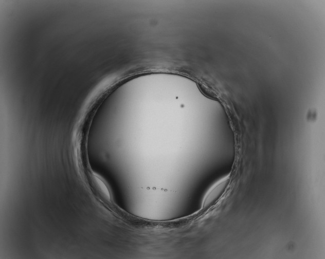 X0000103440197200809121110