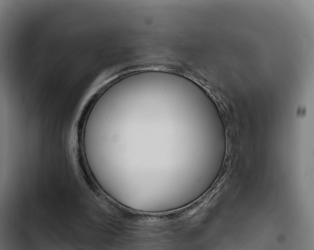 X0000103440198200809121110