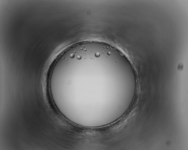 X0000103440199200809121110