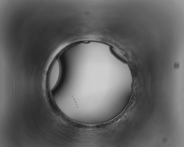X0000103440200200809121110