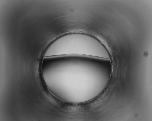 X0000103440201200809121110