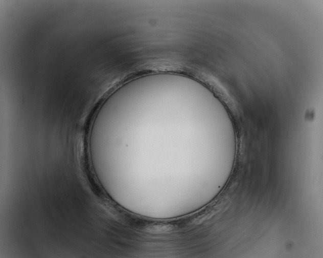 X0000103440202200809121110