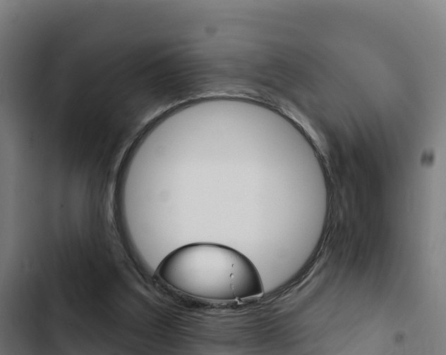 X0000103440203200809121109
