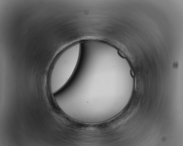 X0000103440204200809121109