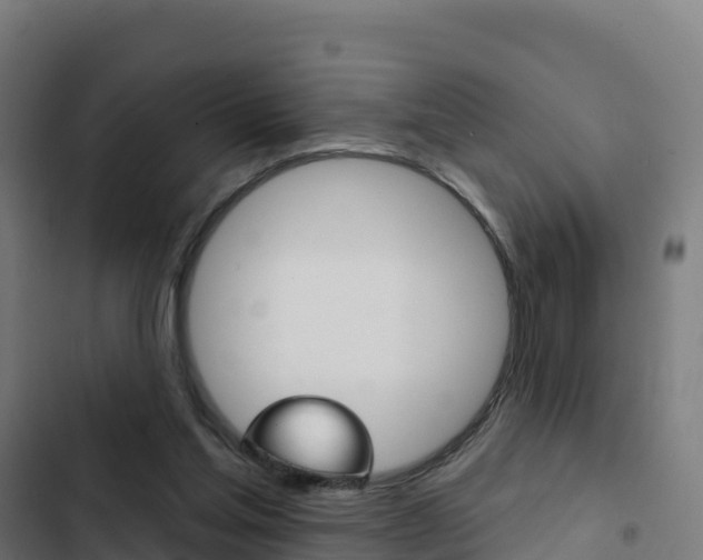 X0000103440205200809121109