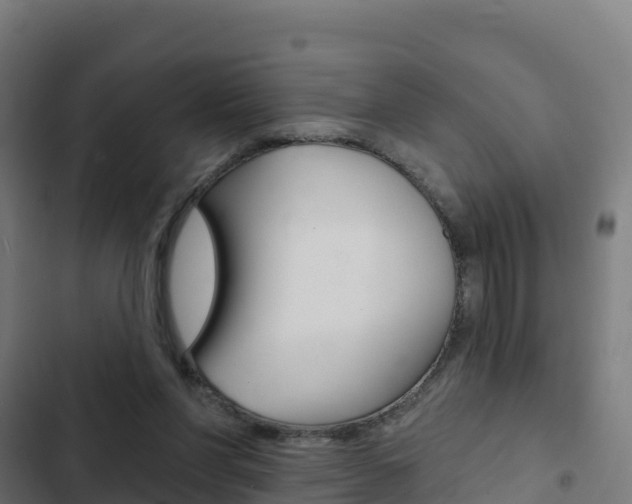 X0000103440206200809121109