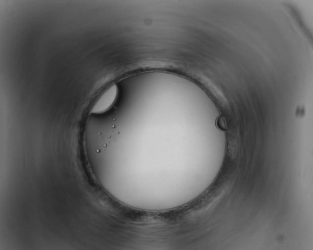 X0000103440207200809121109