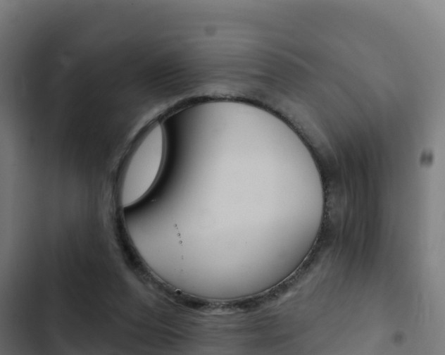 X0000103440208200809121109