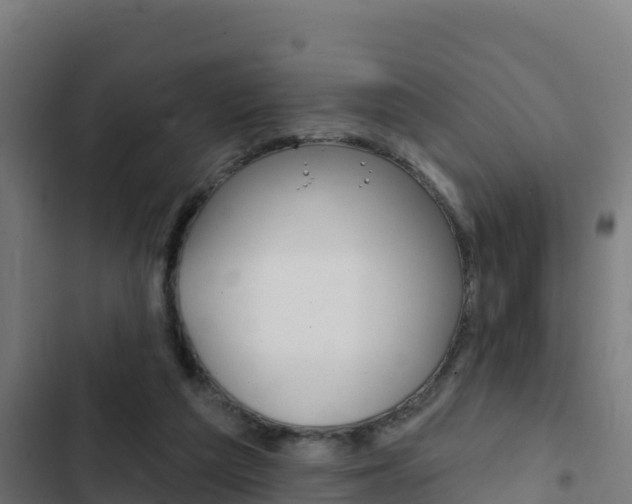 X0000103440209200809121109