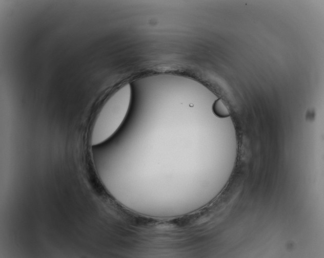 X0000103440210200809121109