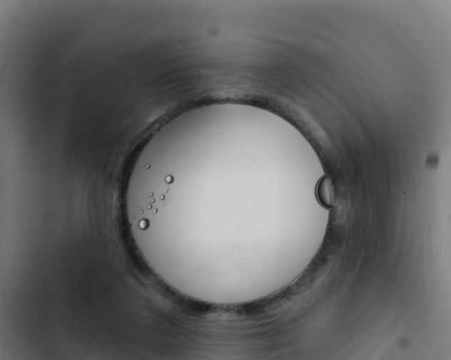 X0000103440211200809121109