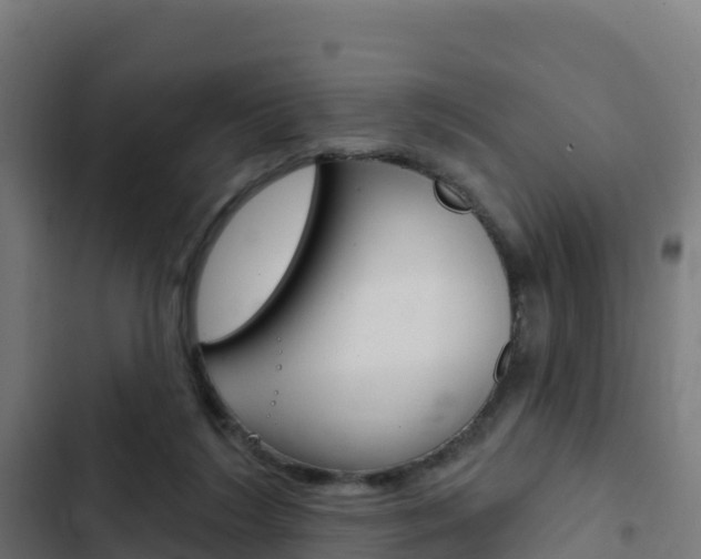 X0000103440212200809121109