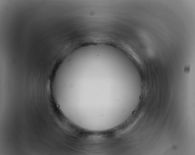 X0000103440213200809121109