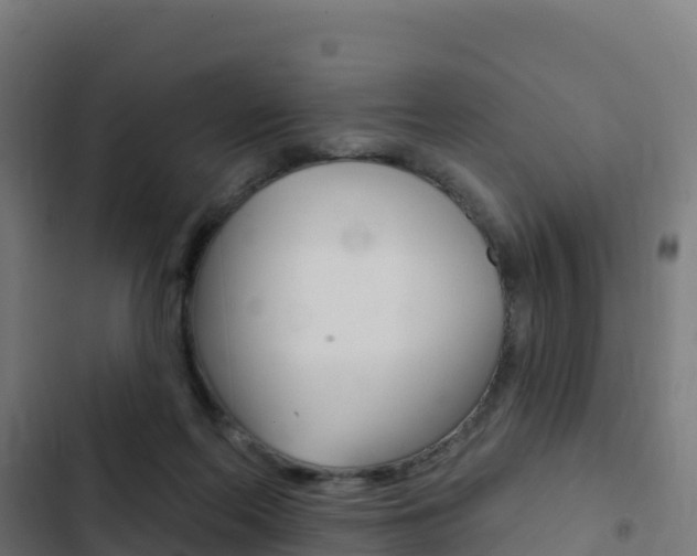 X0000103440214200809121109