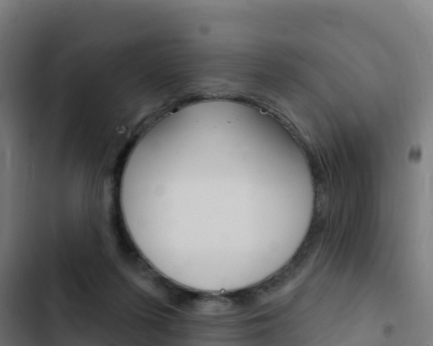 X0000103440215200809121109