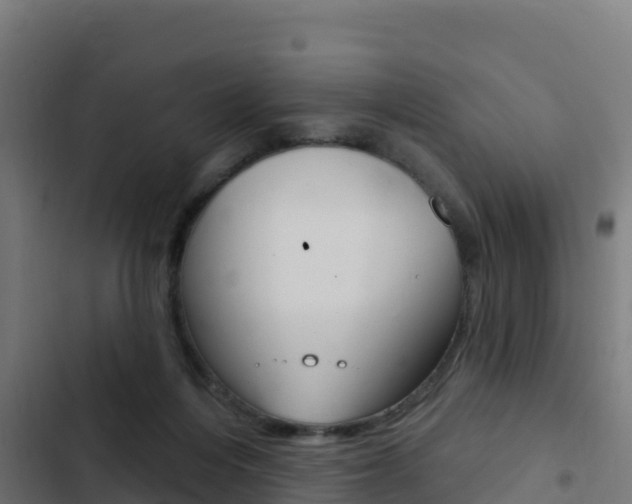 X0000103440216200809121109