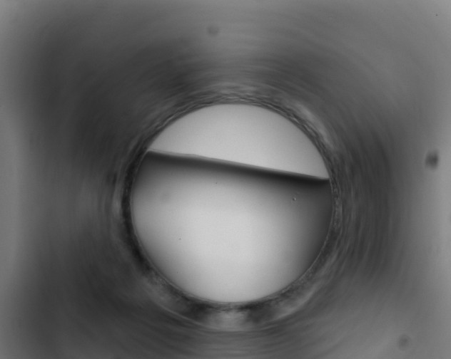 X0000103440217200809121109