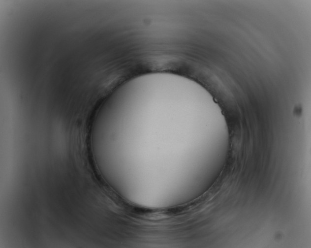 X0000103440219200809121109