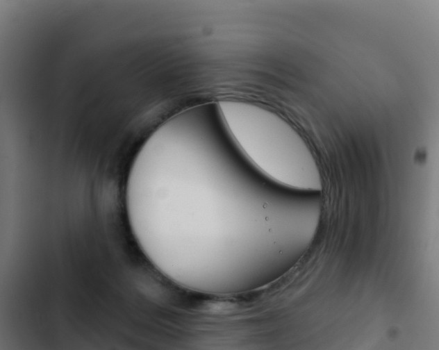 X0000103440220200809121109