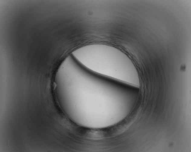 X0000103440221200809121109