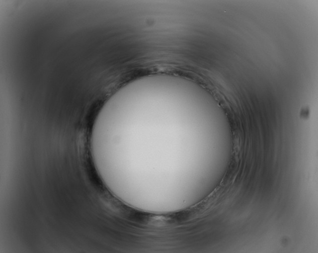 X0000103440222200809121109