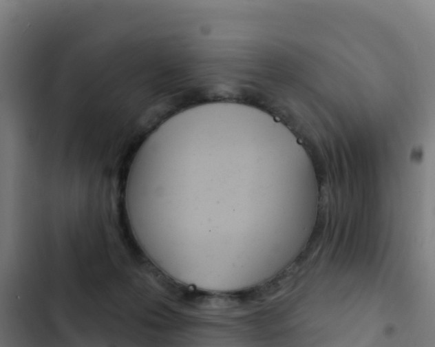 X0000103440223200809121109