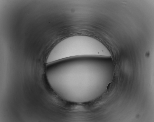 X0000103440224200809121109