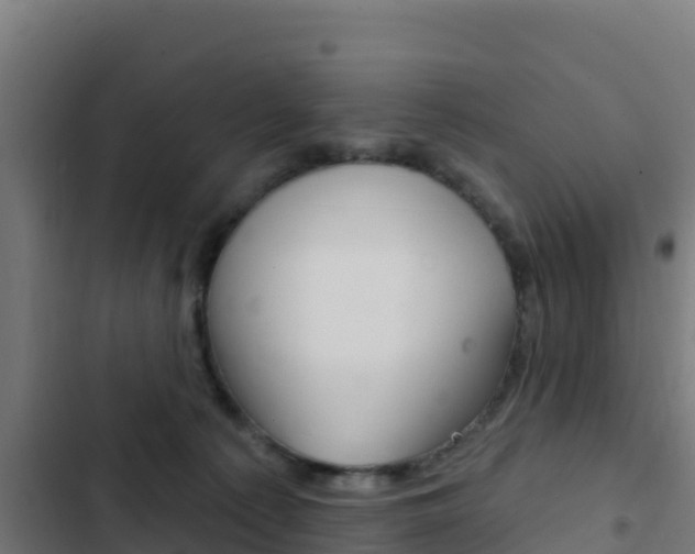 X0000103440225200809121109