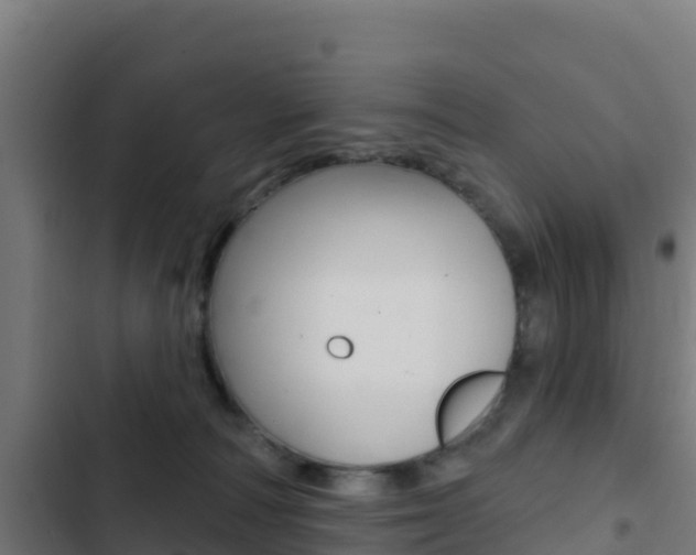 X0000103440226200809121109