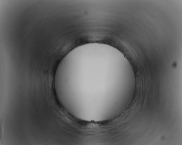X0000103440227200809121109