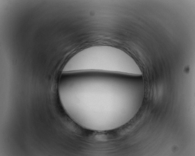X0000103440228200809121109