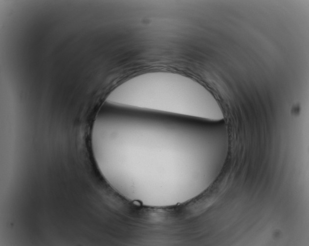 X0000103440229200809121109