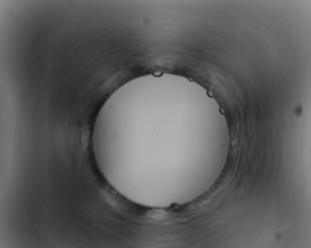 X0000103440231200809121109