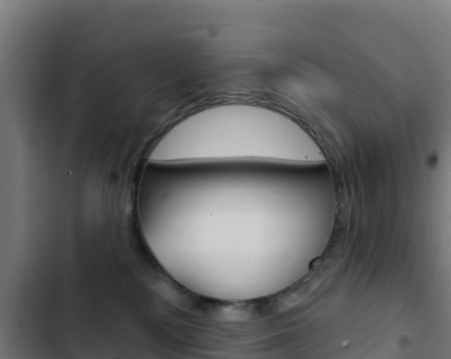 X0000103440232200809121109